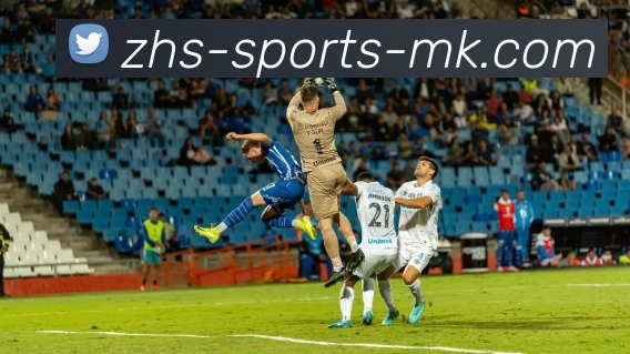 MK体育服务体系